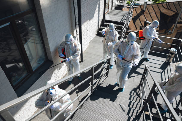 Best Environmental Consulting for Mold Prevention  in Clayton, GA
