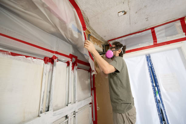Best Post-Remediation Verification Testing  in Clayton, GA