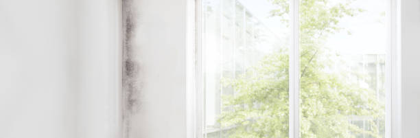 Best Air Quality Testing for Mold Spores  in Clayton, GA