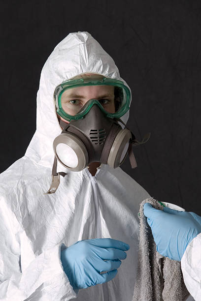 Reliable Clayton, GA Mold Removal Solutions